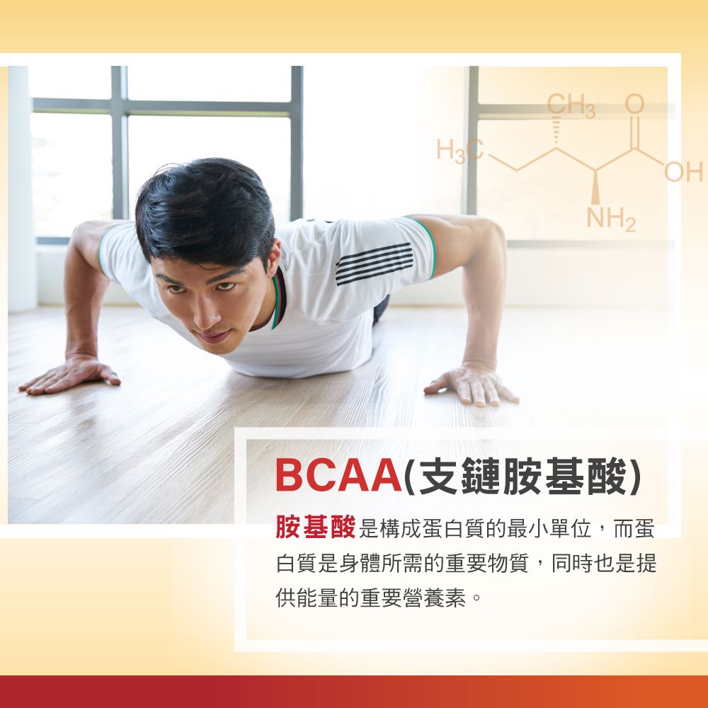 Sun Ten 順天本草 帝璽活力膠囊(120顆/盒)-龜鹿XBCAA