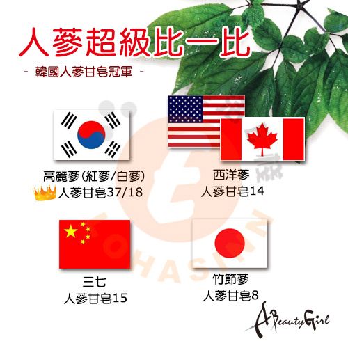 超級比一比-韓國人蔘甘皂冠軍 -高麗蔘(紅蔘/白蔘)西洋蔘人蔘甘皂37/18人蔘甘皂14三七人蔘甘皂15竹節蔘人蔘甘皂8 Girl
