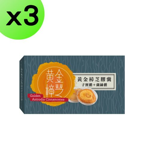 【3入組】黃金樟芝-子實體+菌絲體素食膠囊30粒裝 高純度 子實體 三萜類 多醣體 備查許可