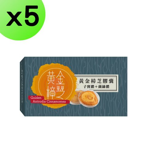 【5入組】黃金樟芝-子實體+菌絲體素食膠囊30粒裝 高純度 子實體 三萜類 多醣體 備查許可