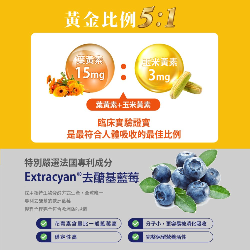 BIOline 星譜生技 Go晶明_特添加去醣基歐洲藍莓1盒(30錠/盒)《添加OMEGA3.KEMIN游離型葉黃素.玉米黃素.維生素》