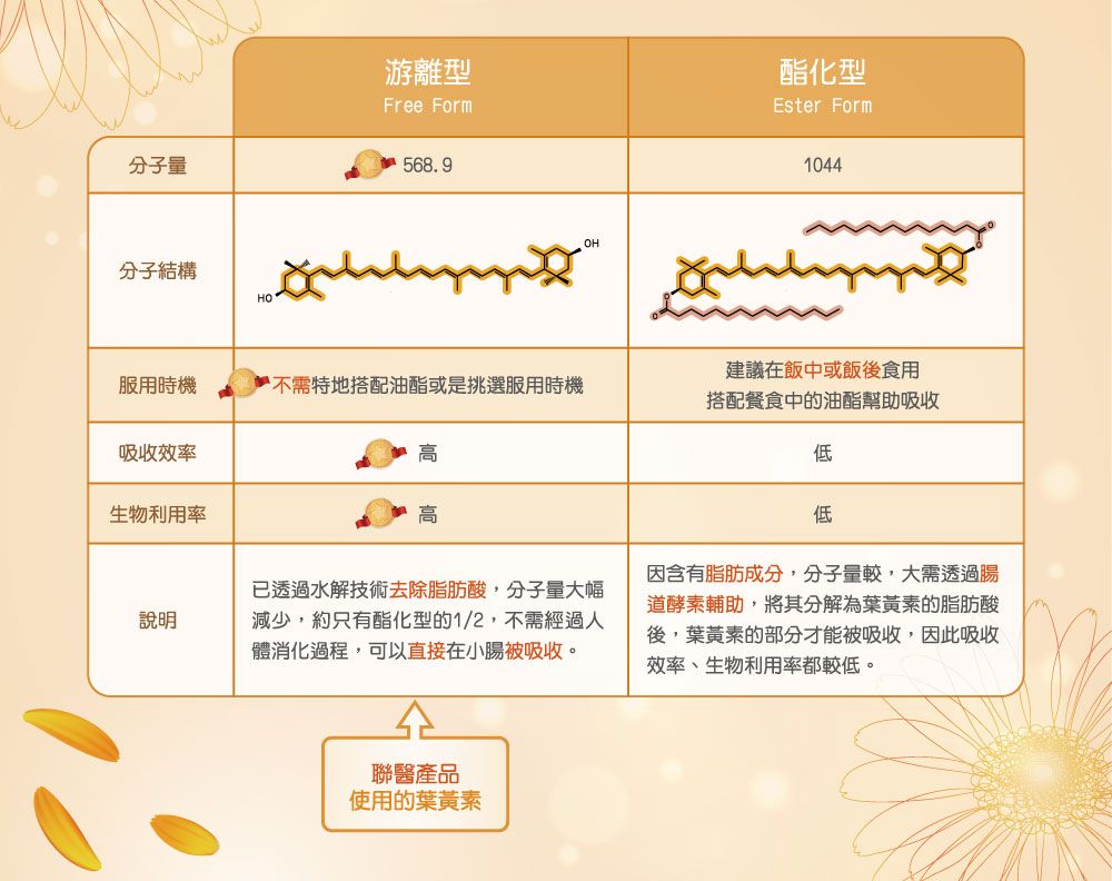 分子量分子結構HO游離型Free Form酯化型Ester Form568.9服用時機不需特地搭配油酯或是挑選服用時機吸收效率高生物利用率高說明OH1044建議在飯中或飯後食用搭配餐食中的油酯幫助吸收低已透過水解技術去除脂肪酸,分子量大幅減少,約只有酯化型的1/2,不需經過人體消化過程,可以直接在小腸被吸收。低因含有脂肪成分,分子量較,大需透過腸道酵素輔助,將其分解為葉黃素的脂肪酸後,葉黃素的部分才能被吸收,因此吸收效率、生物利用率都較低。醫產品使用的葉黃素