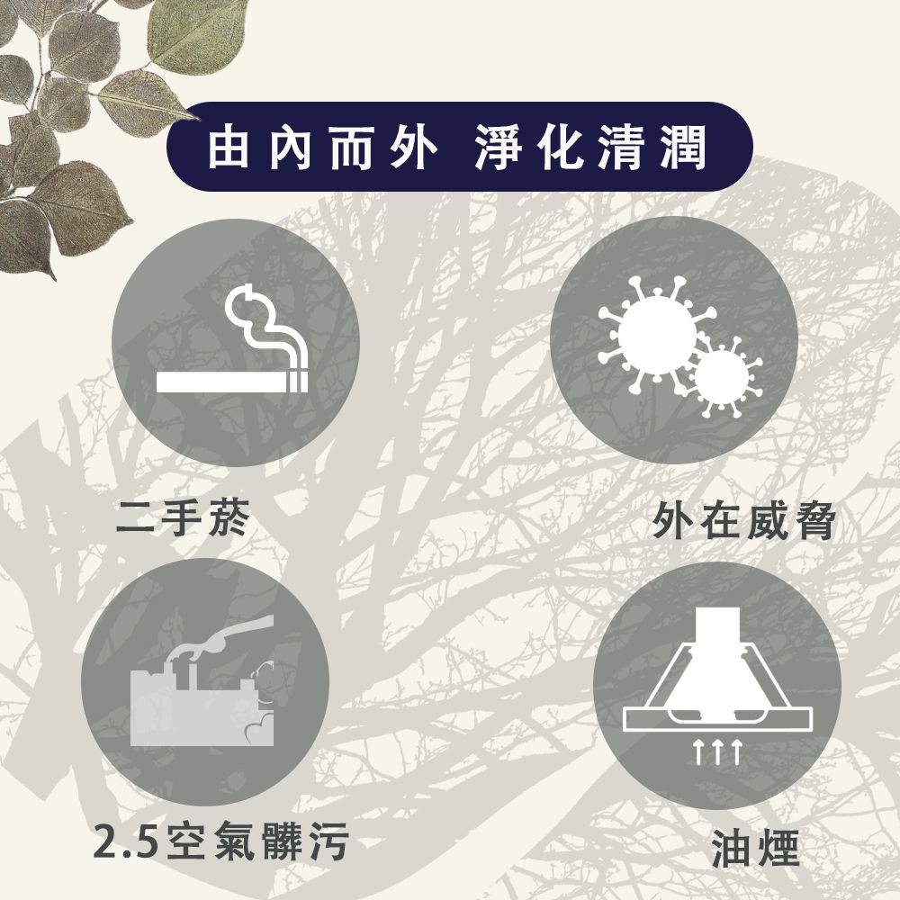 由內而外 淨化清潤二手菸外在威脅2.5空氣髒污油煙