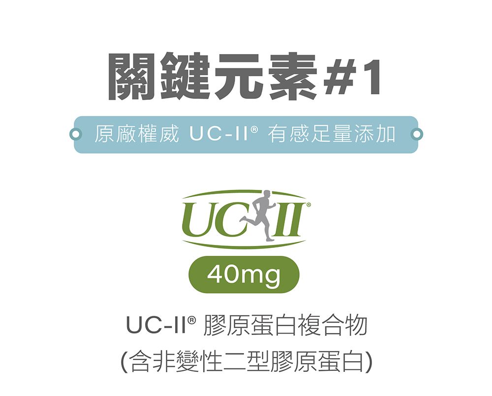 關鍵元素#1 原廠權威 UC-有感足量添加40mgUC-II® 膠原蛋白複合物(含非變性二型膠原蛋白)