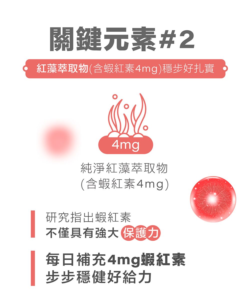 關鍵元素#2紅藻萃取物(含蝦紅素4mg)穩步好扎實4mg純淨紅藻萃取物(含蝦紅素4mg)研究指出蝦紅素不僅具有強大保護力每日補充4mg蝦紅素步步穩健好給力