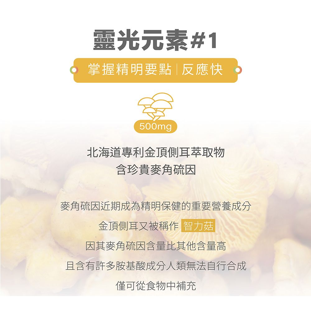 TRADE WIND BIOTECH 全瑩生技 【TWBIO 】金明EX 金頂側耳蝦紅素複方膠囊(60粒/盒麥角硫因蝦紅素思緒清晰)