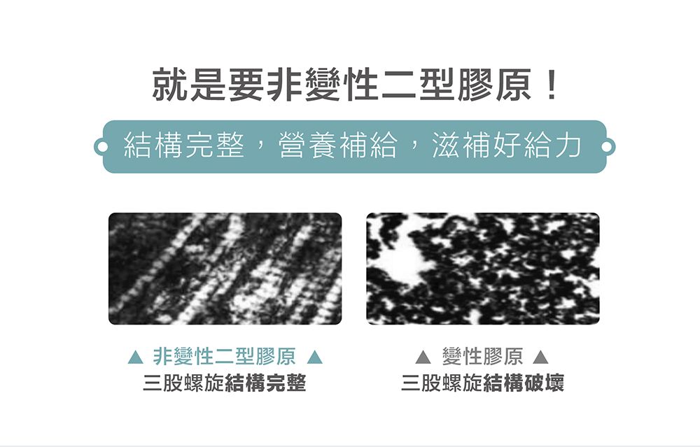 就是要非變性二型結構完整,營養補給,滋補好給力非變性二型膠原三股螺旋結構完整 變性膠原 三股螺旋結構破壞