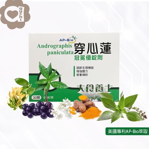 必爾思 穿心蓮冠冕優錠劑 素食錠劑 (30顆/盒) 含魚腥草金銀花及甘草 防疫必備
