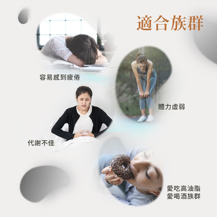 容易感到疲倦代謝不佳適合族群體力虛弱愛吃高油脂愛喝酒族群