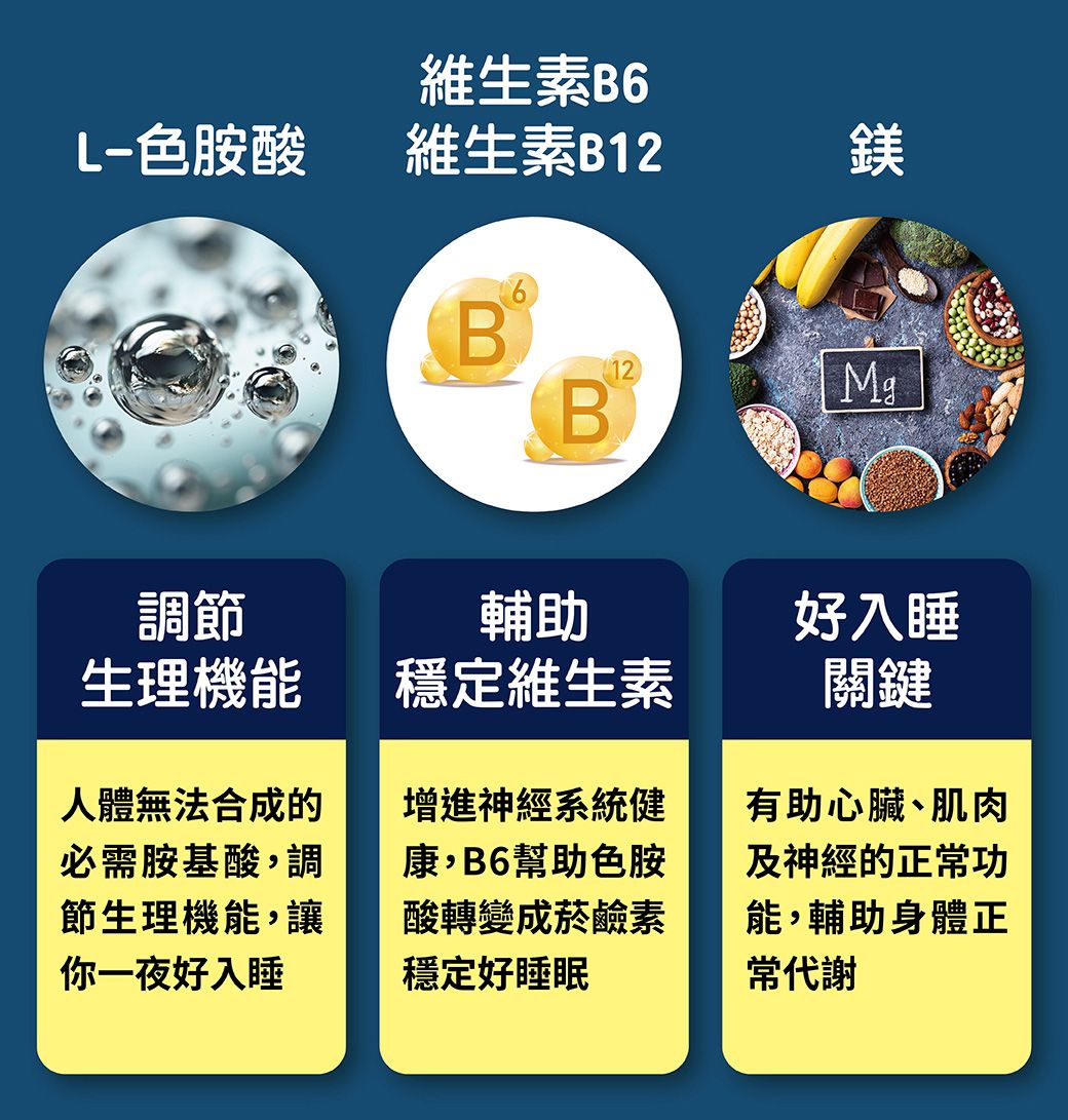 維生素B6色胺酸維生素B12鎂B6Mg調節生理機能輔助好入睡穩定維生素關鍵人體無法合成的必需胺基酸,調節生理機能,讓你一夜好入睡增進神經系統健康,B6幫助色胺酸轉變成菸鹼素穩定好睡眠有助心臟肌肉及神經的正功能,輔助身體正常代謝