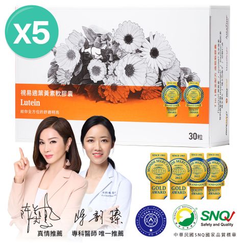 大研生醫 視易適葉黃素(30粒x5盒)