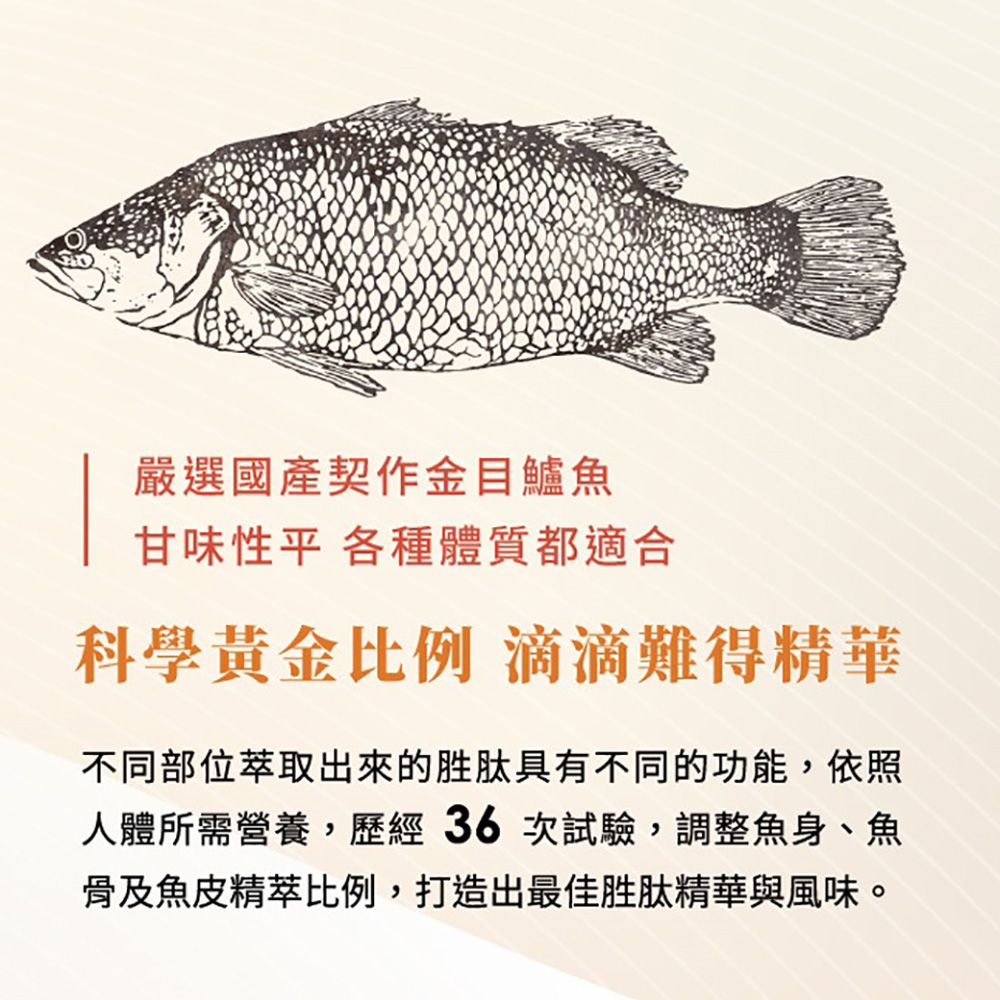 嚴選國產契作金目鱸魚甘味性平 各種體質都適合科學黃金比例 滴滴難得精華不同部位萃取出來的胜肽具有不同的功能,依照人體所需營養,歷經36次試驗,調整魚身、魚骨及魚皮精萃比例,打造出最佳胜肽精華與風味。