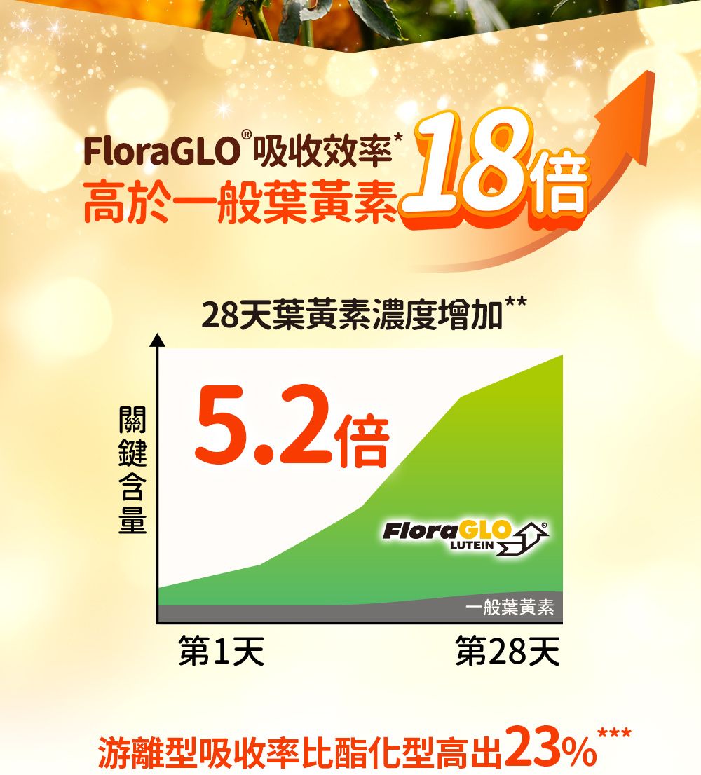 FloraGLOⓇ吸收效率*高於一般葉黃素18倍28天葉黃素濃度增加**5.2倍Flora GLOLUTEIN第1天一般葉黃素第28天游離型吸收率比酯化型高出23%*