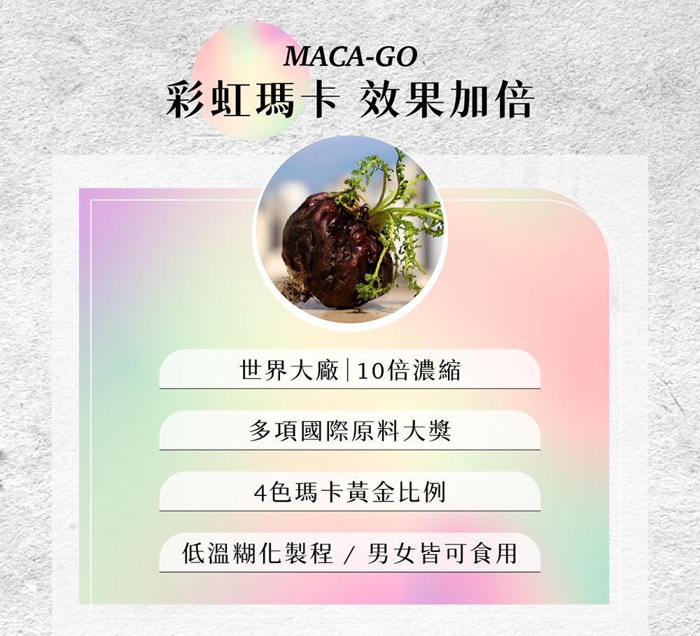 MACA-彩虹瑪卡 效果加倍世界大廠|10倍濃縮多項國際原料大獎4色瑪卡黃金比例低溫糊化製程/男女皆可食用