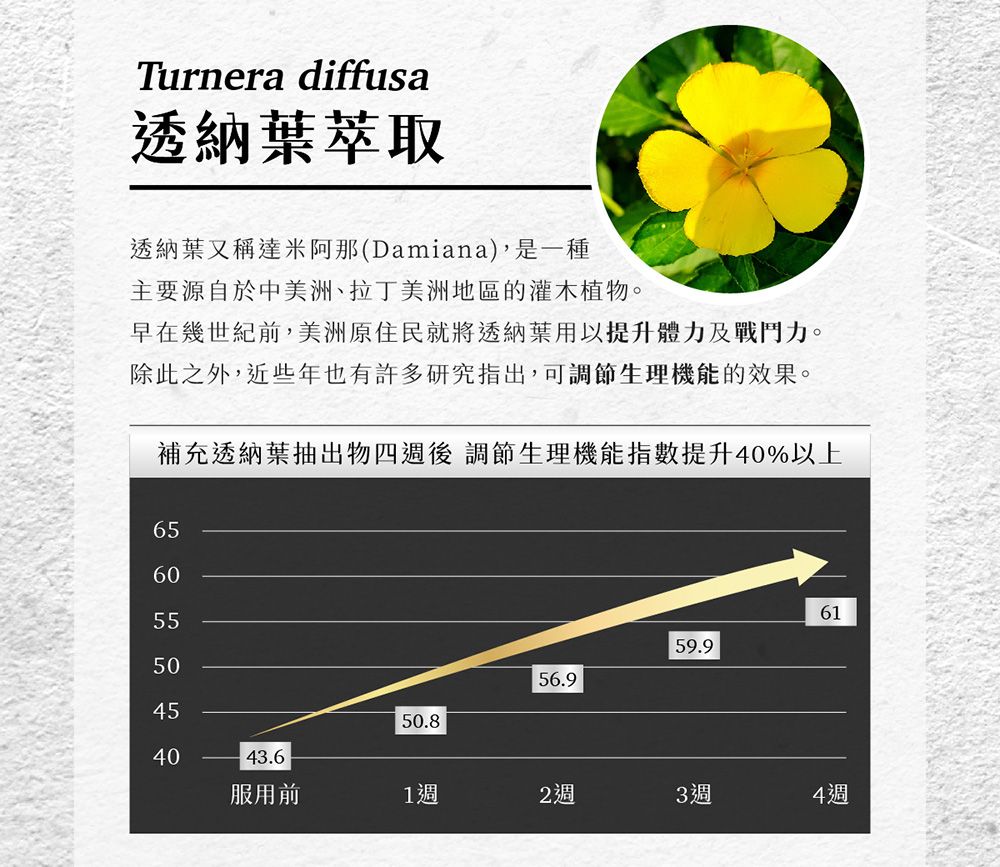 Turnera diffusa透納葉萃取透納葉又稱達米阿那(Damiana),是一種主要源自於中美洲、拉丁美洲地區的灌木植物。早在幾世紀前,美洲原住民就將透納葉用以提升體力及戰鬥力。除此之外,近些年也有許多研究指出,可調節生理機能的效果。補充透納葉抽出物四後 調節生理機能指數提升40%以上60506159.956.950.84043.6服用前1週2週3週4週