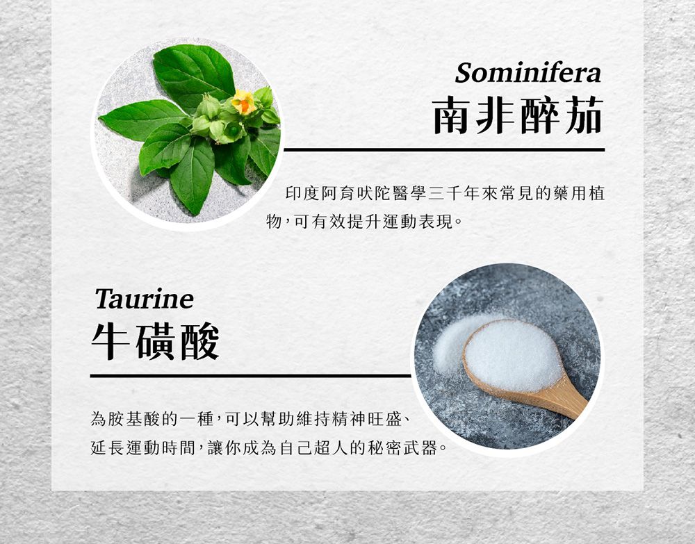 Taurine牛磺酸Sominifera南非醉茄印度阿育吠陀醫學三千年來常見的藥用植物,可有效提升運動表現。為胺基酸的一種,可以幫助維持精神旺盛、延長運動時間,讓你成為自己超人的秘密武器。