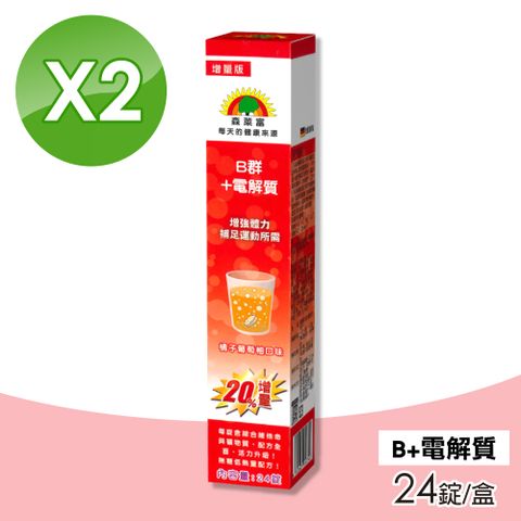 【SUNLIFE森萊富】德國原裝 B群+電解質發泡錠 橘子葡萄柚口味 24錠/盒(買1送1 共48錠)