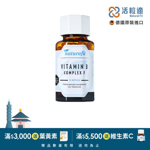 Natural Fit 活粒適 【德國】維生素B群膠囊 90粒(獨家德國進口微營養領導品牌)