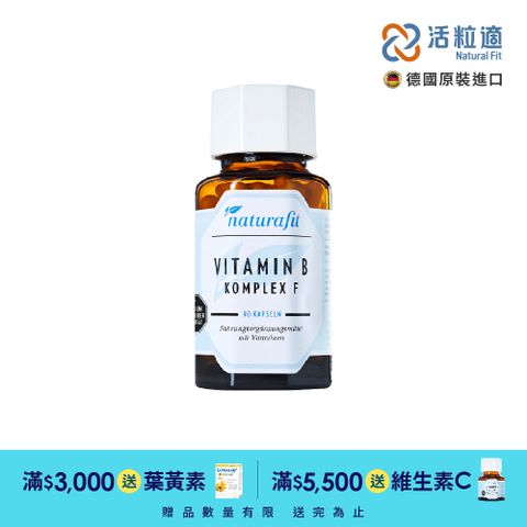 Natural Fit 活粒適 【德國】維生素B群膠囊 90粒(獨家德國進口微營養領導品牌)