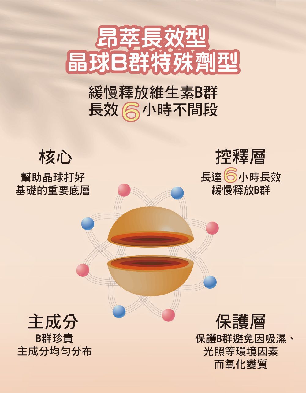 長效型晶球B群特殊劑型緩慢釋放維生素B群長效 小時不間段核心幫助晶球打好基礎的重要底層控釋層長達6小時長效緩慢釋放B群主成分B群珍貴主成分均匀分布保護層保護B群避免因吸濕、光照等環境因素而氧化變質