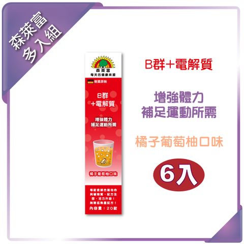 【SUNLIFE森萊富】B群+電解質發泡錠(橘子葡萄柚口味) 80g/20錠(6入組)