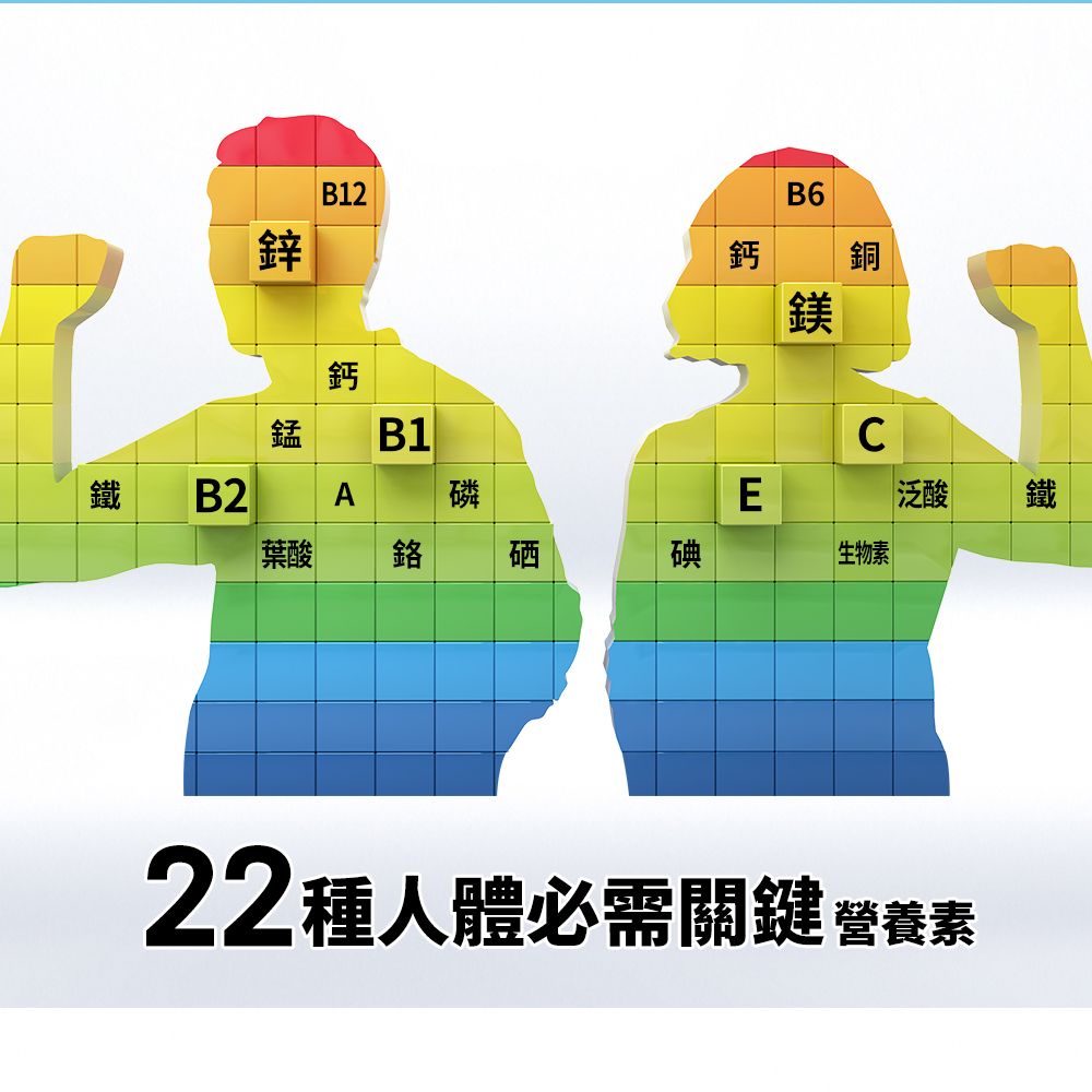 centrum 善存 成人綜合維他命錠 130錠