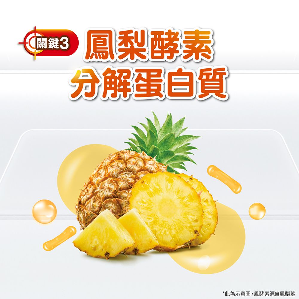 關鍵3鳳梨酵素分解蛋白質*此為示意圖,鳳酵素源自鳳梨莖