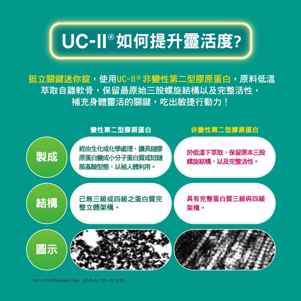 UC- ® 如何提升靈活度?挺立關鍵迷你錠使用UC-II ® 非變性第二型膠原蛋白原料低溫萃取自雞軟骨,保留最原始三股螺旋結構以及完整活性,補充身體靈活的關鍵,吃出敏捷行動力!變性第二型膠原蛋白非變性第二型膠原蛋白製成經由生化或化學處理,讓長鏈膠原蛋白變成小分子蛋白質或短鏈胺基酸型態,以被人體利用。於低溫下萃取,保留原本三股螺旋結構,以及完整活性。結構已無三級或四級之蛋白質完整立體架構。具有完整蛋白質三級與四級架構。圖示*Int J Clin Pharmacol Res, 22(3-4),101-10,2002