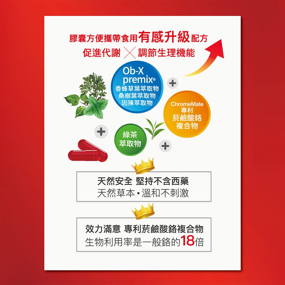 膠囊方便攜帶食用有感升級配方促進代謝  調節生理機能Ob-Xpremix®香蜂草葉萃取物桑樹葉萃取物因陳萃取物ChromeMate專利菸鹼酸複合物綠茶萃取物天然安全 堅持不含西藥天然草本溫和不刺激效力滿意 專利菸鹼酸複合物生物利用率是一般的18倍