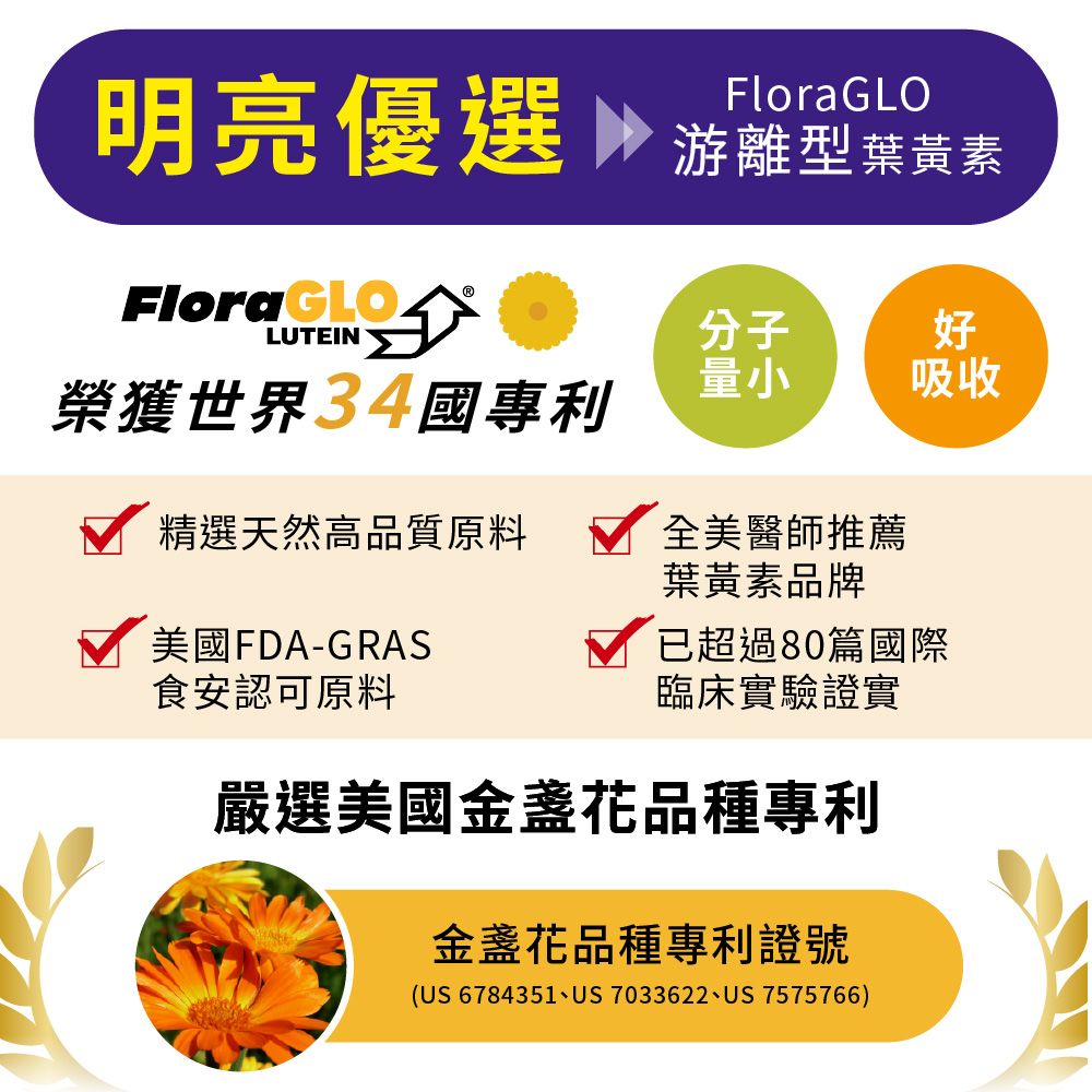 LOVITA 愛維他 愛視卡爾(含葉黃素)複方膠囊(60顆) 全素
