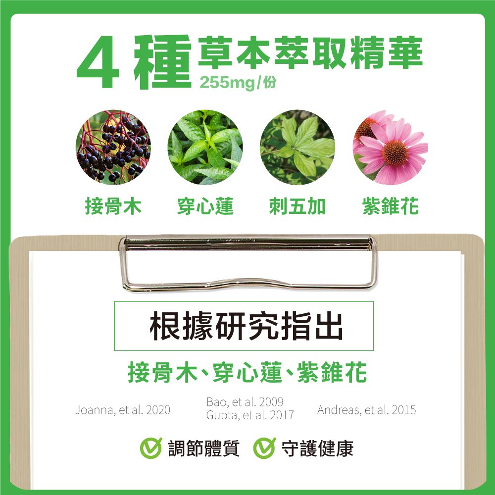 Lovita 愛維他 金盾8合1 素食膠囊(60顆)