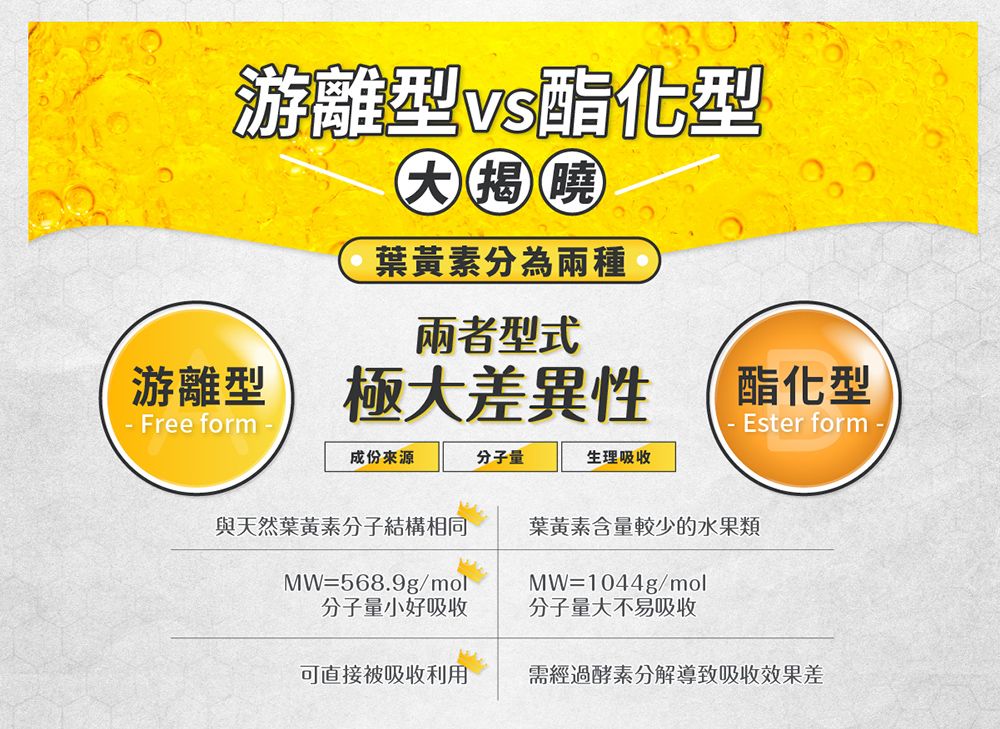游離型vs酯化型大揭曉葉黃素兩者型式游離型極大差異性酯化型Free formEster form成份來源分子量生理吸收與天然葉黃素分子結構相同葉黃素含量較少的水果類MW=568.9g/mol分子量小好吸收MW=1044g/mol分子量大不易吸收可直接被吸收利用需經過酵素分解導致吸收效果差