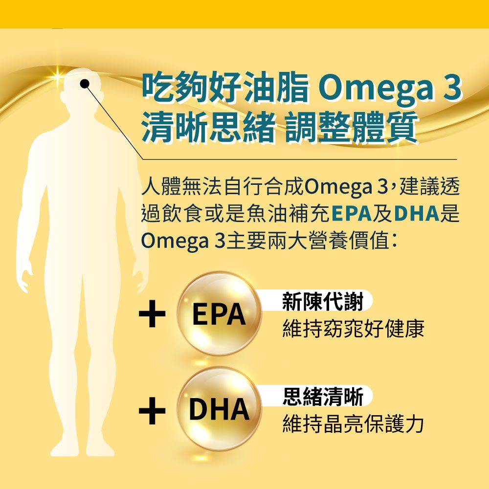 吃夠好油脂 Omega 3清晰思緒 調整體質人體無法自行合成Omega 3,建議透過飲食或是魚油補充EPA及DHA是Omega 3主要兩大營養價值: EPA新陳代謝維持窈窕好健康 DHA思緒清晰維持晶亮保護力