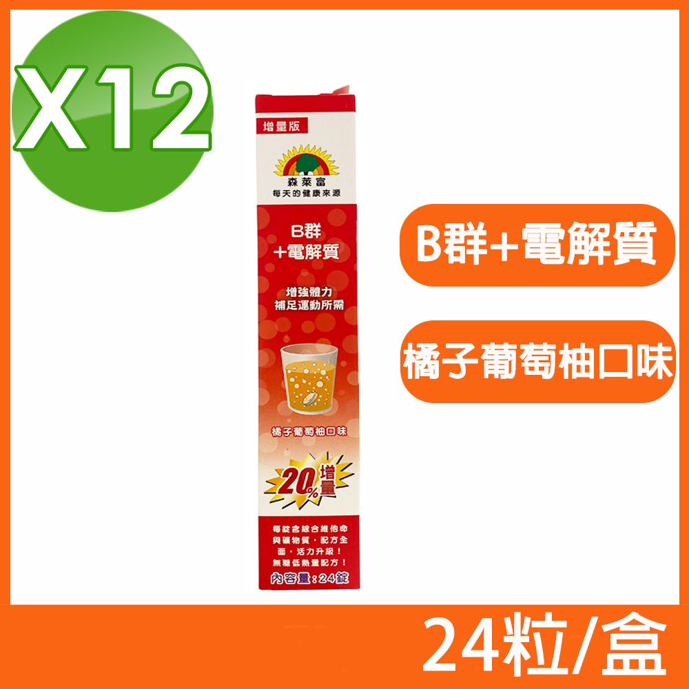 SUNLIFE 森萊富 德國原裝 維他命B+電解質發泡錠 橘子葡萄柚口味 24粒/盒 (12盒組)