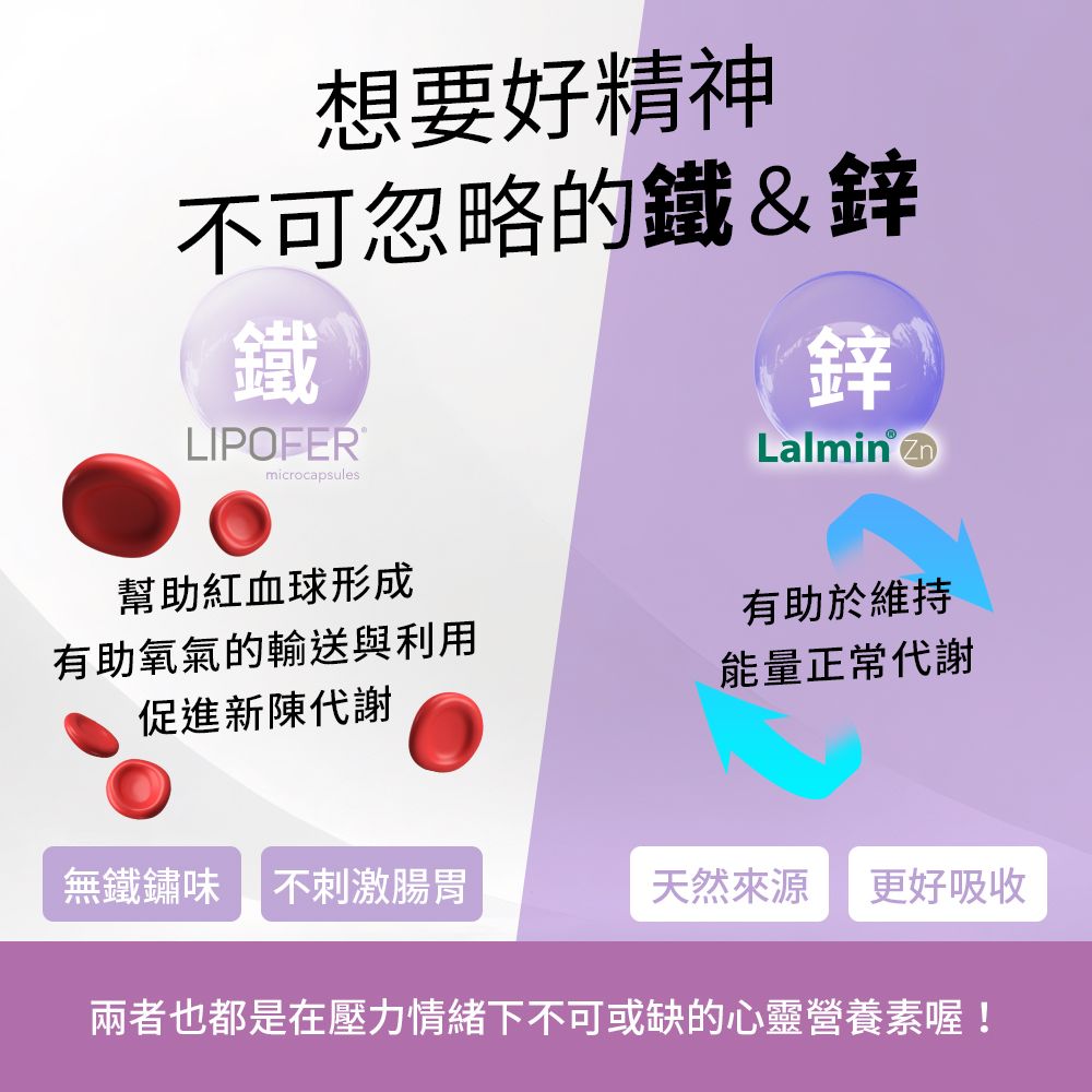 Dechuang 德創生技 酵母B群膠囊 綜合維他命 含酵母鋅、微膠囊鐵、白藜蘆醇、維生素D(60粒/瓶 共3瓶)