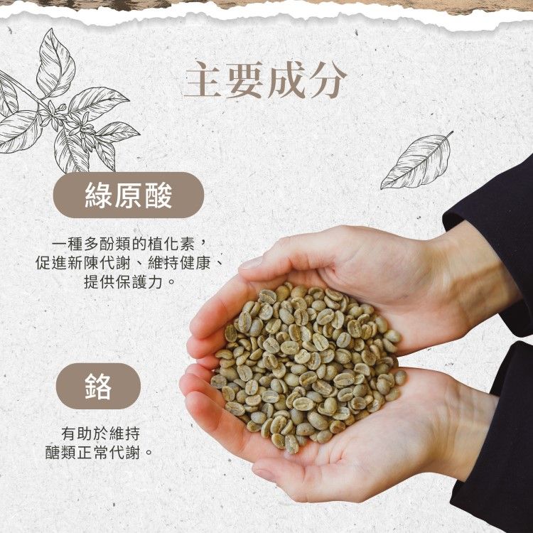 主要成分綠原酸一種多酚類的植化素,促進新陳代謝、維持健康提供保護力。鉻有助於維持醣類正常代謝。