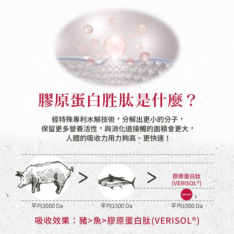 膠原蛋白胜肽是什麼?經特殊專利水解技術,分解出更小的分子,保留更多營養活性,與消化道接觸的面積會更大,人體的吸收力用力夠高、更快速!7膠原蛋白肽(VERISOL  )VERISOL平均3000 Da平均1500 Da平均1000 Da吸收效果:魚膠原蛋白肽(VERISOL®)