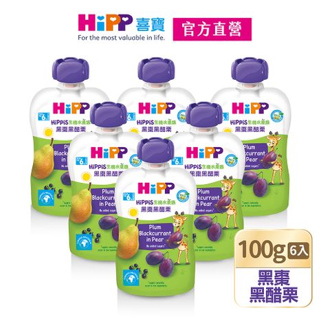 Hipp 喜寶 生機水果趣-黑棗黑醋栗(100gx6入)