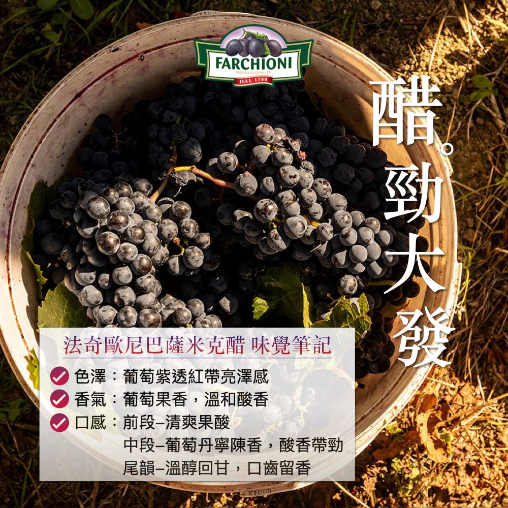 FARCHIONI 法奇歐尼 義大利IGP認證巴薩米克醋250ml迷你紫瓶