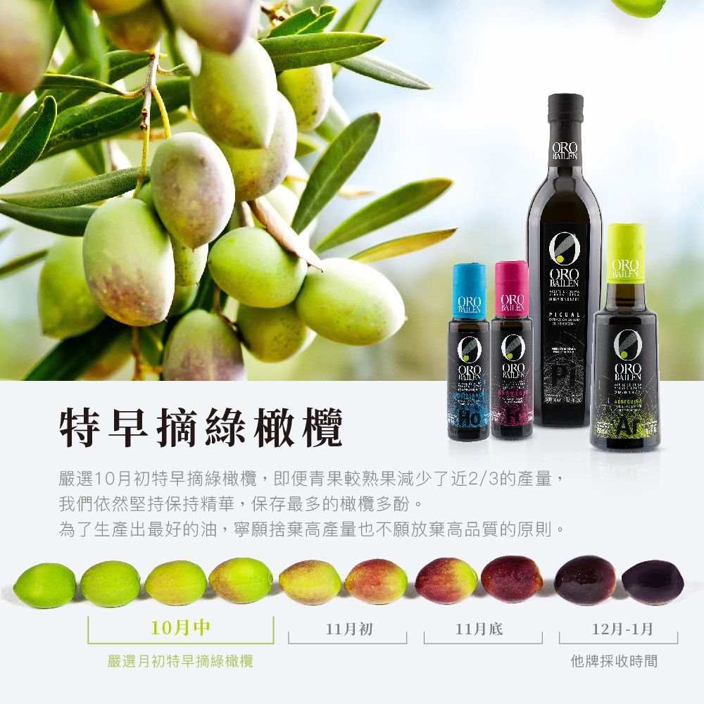 Oro Bailen 皇嘉 OroBailen 特級冷壓初榨橄欖油皇家級Arbequina 500ml