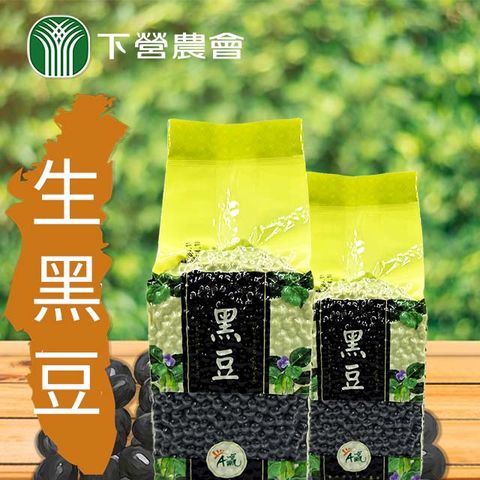 【下營農會】生黑豆-600gX3包