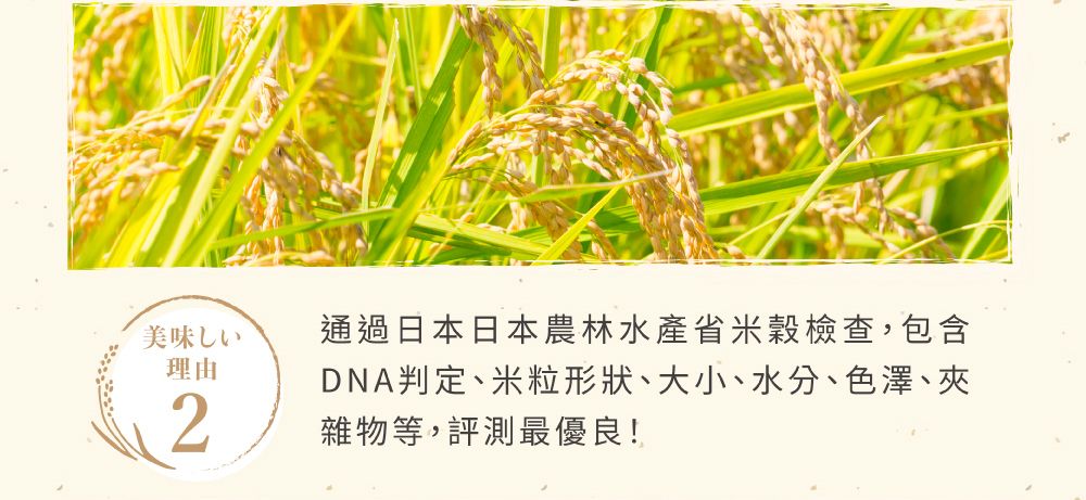 美味しい理由2通過日本日本農林水産省米穀檢查,包含DNA判定、米粒形狀、大小、水分、色澤、夾雜物等,評測最優良!