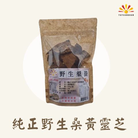 亞源泉 純正100%野生桑黃靈芝 150g/包