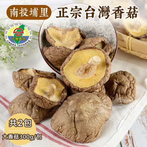 【禾鴻】南投埔里產地直送正宗台灣大香菇大包裝(300g/包)x2包