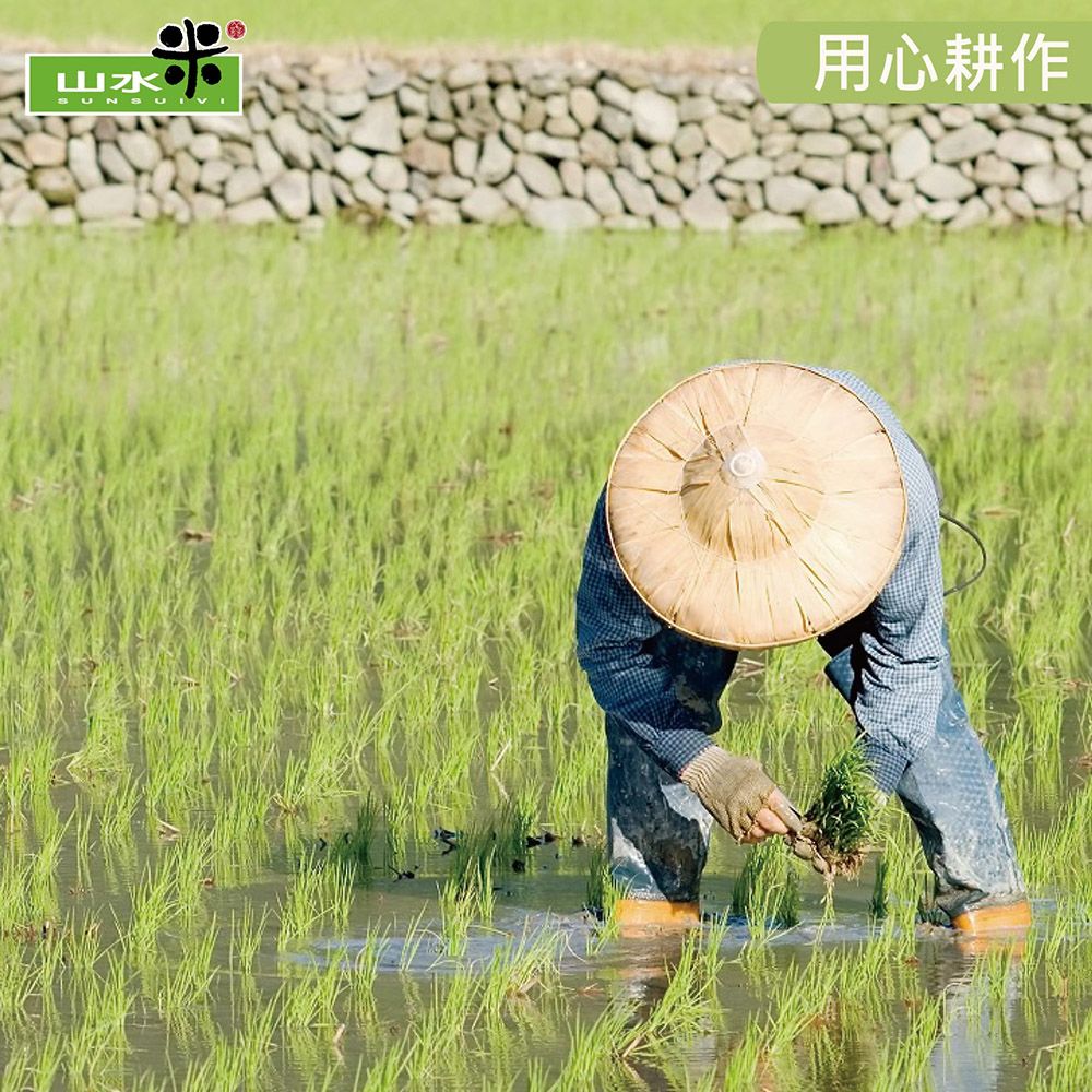 禾掌屋 拜拜首選吃平安以米代金祈求神明庇佑兼顧環保