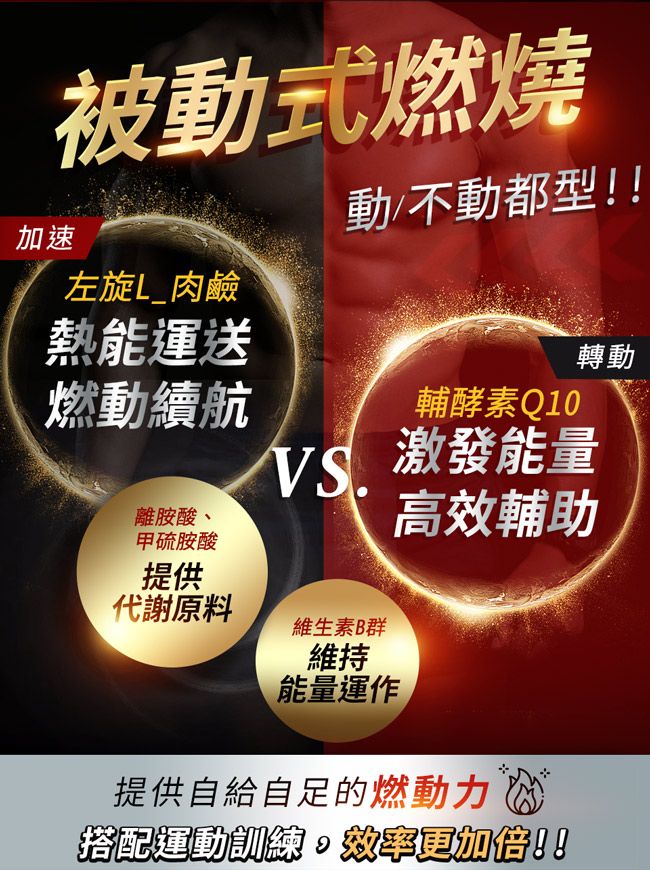 被動式燃燒動不動都型!!加速左旋L_肉鹼熱能運送轉動燃動續航輔酵素Q10VS.離胺酸、甲硫胺酸提供 激發能量高效輔助代謝原料維生素B群維持能量運作提供自給自足的燃動力 搭配運動訓練效率更加倍!!