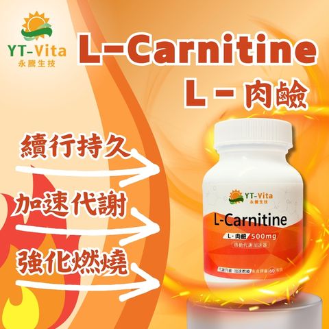 YT-Vita 左旋肉鹼膠囊 60粒 L-Carnitine 肉酸 卡尼丁 左旋肉酸 加速代謝 燃燒動力