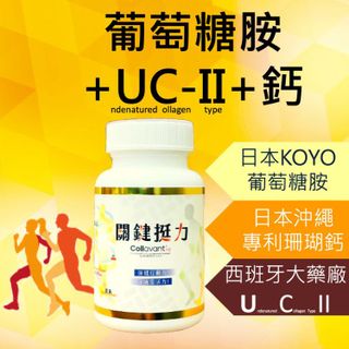 關鍵芝寶 專利UC2 葡萄糖胺 鈣 UC-II glucosamine 二型膠原蛋白 維骨力 骨本 補鈣