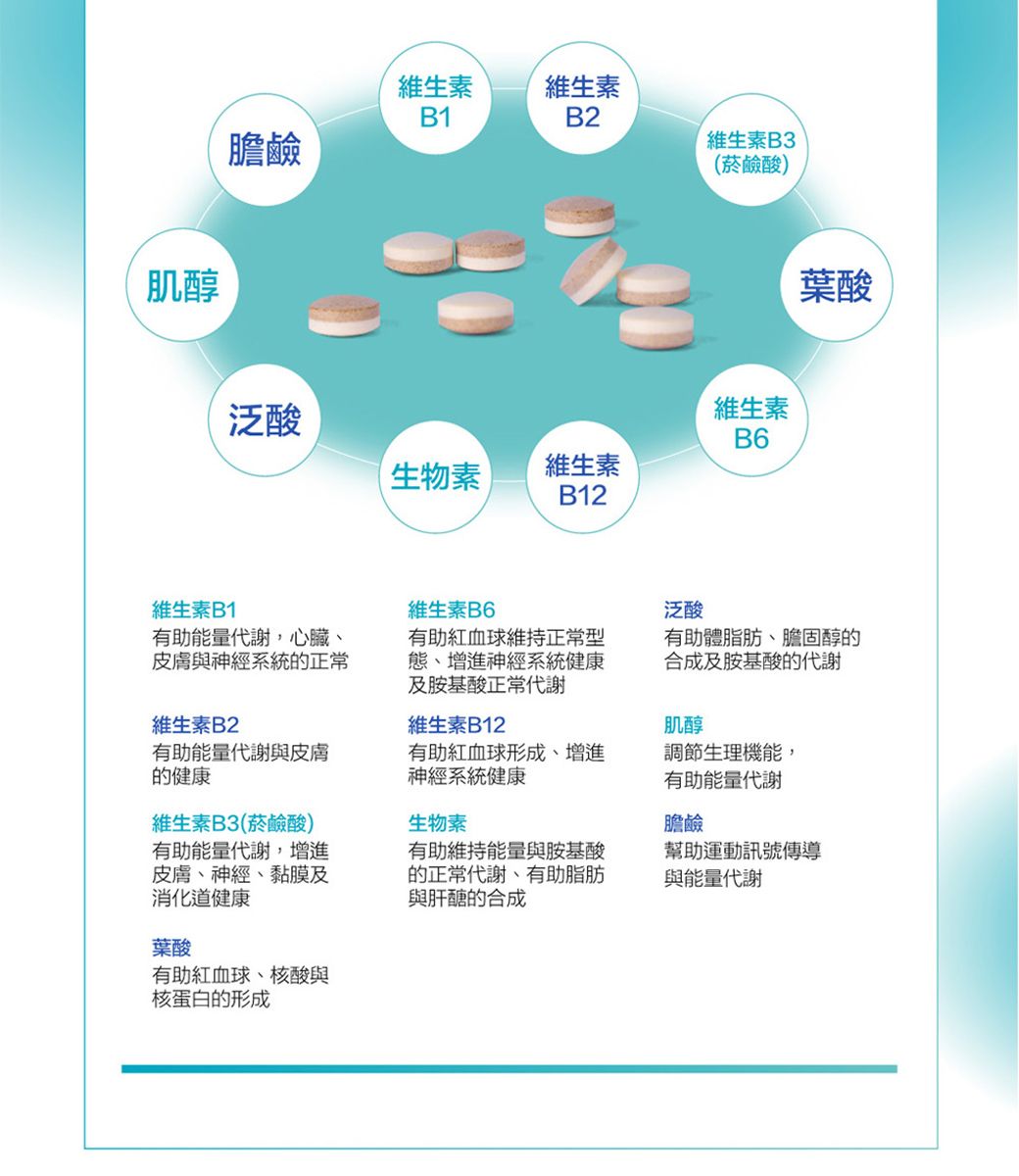 肌醇維生素B1維生素B2膽鹼維生素B3(菸鹼酸)維生素泛酸B6生物素維生素B12葉酸維生素B1維生素B6泛酸有助能量代謝心臟、皮膚與神經系統正常有助紅血球維持正常型、增進神經系統健康及胺基酸正常代謝有助體脂肪、膽固醇的合成及胺基酸的代謝維生素B2維生素B12肌醇有助能量代謝與皮膚的健康有助紅血球形成、增進神經系統健康調節生理機能,有助能量代謝維生素B3(菸鹼酸)有助能量代謝,增進皮膚、神經、黏膜及消化道健康生物素膽鹼有助維持能量與胺基酸的正常代謝,有助脂肪與肝醣的合成幫助運動訊號傳導與能量代謝葉酸有助紅血球、核酸與核蛋白的形成