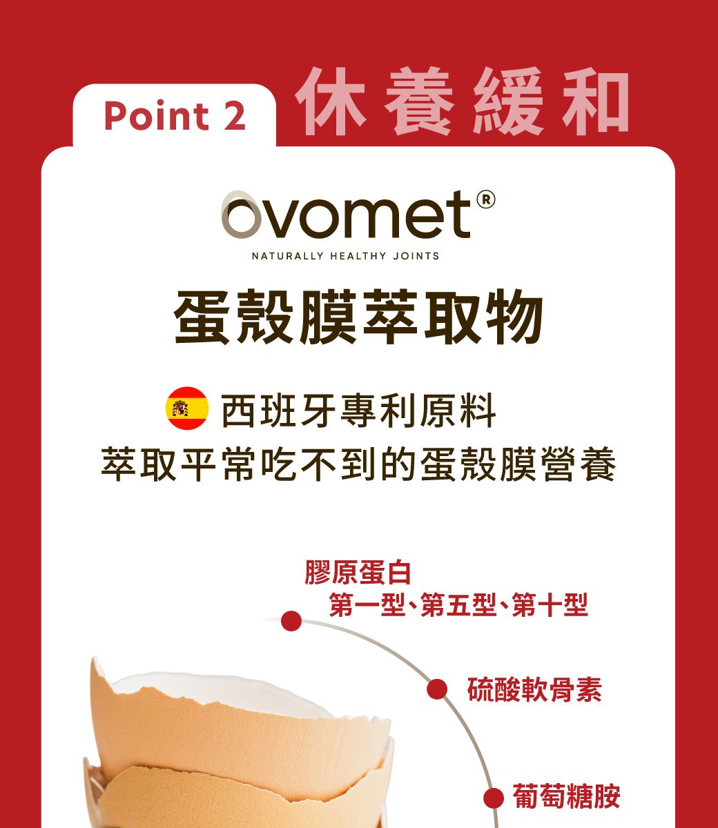 Point 2休養緩和ovomet®NATURALLY HEALTHY JOINTS蛋殼膜萃取物西班牙專利原料萃取平常吃不到的蛋殼膜營養膠原蛋白第一、第五型、第十型硫酸軟骨素葡萄糖胺